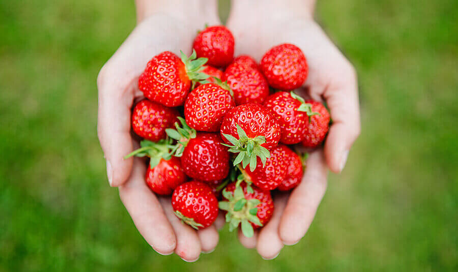 Five curabitur lobortis est at odio imperdiet